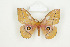  ( - BC-TB8489)  @14 [ ] Copyright (2012) Thierry Bouyer Research Collection of Thierry Bouyer