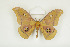  ( - BC-TB8522)  @14 [ ] Copyright (2012) Thierry Bouyer Research Collection of Thierry Bouyer