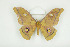  ( - BC-TB8523)  @14 [ ] Copyright (2012) Thierry Bouyer Research Collection of Thierry Bouyer