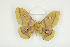  ( - BC-TB8525)  @14 [ ] Copyright (2012) Thierry Bouyer Research Collection of Thierry Bouyer