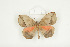  ( - BC-TB8600)  @13 [ ] Copyright (2012) Thierry Bouyer Research Collection of Thierry Bouyer