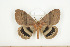  ( - BC-TB8611)  @14 [ ] Copyright (2012) Thierry Bouyer Research Collection of Thierry Bouyer