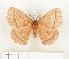  ( - CTBB-1009)  @11 [ ] Copyright (2013) Thierry Bouyer Research Collection of Thierry Bouyer
