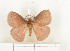  ( - CTBB-1017)  @11 [ ] Copyright (2013) Thierry Bouyer Research Collection of Thierry Bouyer