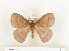  ( - CTBB-1018)  @11 [ ] Copyright (2013) Thierry Bouyer Research Collection of Thierry Bouyer