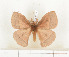  ( - CTBB-1019)  @11 [ ] Copyright (2013) Thierry Bouyer Research Collection of Thierry Bouyer
