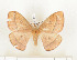  ( - CTBB-1024)  @11 [ ] Copyright (2013) Thierry Bouyer Research Collection of Thierry Bouyer
