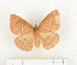  ( - CTBB-1028)  @13 [ ] Copyright (2013) Thierry Bouyer Research Collection of Thierry Bouyer