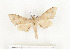  ( - CTBB-1032)  @13 [ ] Copyright (2013) Thierry Bouyer Research Collection of Thierry Bouyer