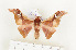  ( - CTBB-1050)  @11 [ ] Copyright (2013) Thierry Bouyer Research Collection of Thierry Bouyer
