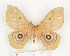  ( - CTBB-1053)  @13 [ ] Copyright (2013) Thierry Bouyer Research Collection of Thierry Bouyer