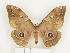  ( - CTBB-1063)  @13 [ ] Copyright (2013) Thierry Bouyer Research Collection of Thierry Bouyer