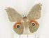  ( - CTBB-1094)  @13 [ ] Copyright (2013) Thierry Bouyer Research Collection of Thierry Bouyer