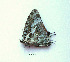  ( - CTBB-0808)  @12 [ ] Copyright (2013) Thierry Bouyer Research Collection of Thierry Bouyer