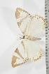  ( - BC-TB3790)  @12 [ ] Copyright (2010) Unspecified Research Collection of Thierry Bouyer