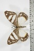  ( - BC-TB3797)  @12 [ ] Copyright (2010) Unspecified Research Collection of Thierry Bouyer