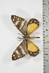  ( - BC-TB3799)  @12 [ ] Copyright (2010) Unspecified Research Collection of Thierry Bouyer