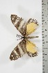  ( - BC-TB3800)  @12 [ ] Copyright (2010) Unspecified Research Collection of Thierry Bouyer