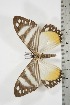 ( - BC-TB3803)  @12 [ ] Copyright (2010) Unspecified Research Collection of Thierry Bouyer