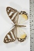  ( - BC-TB3804)  @12 [ ] Copyright (2010) Unspecified Research Collection of Thierry Bouyer