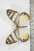  ( - BC-TB3806)  @12 [ ] Copyright (2010) Unspecified Research Collection of Thierry Bouyer