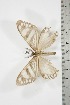  ( - BC-TB3807)  @12 [ ] Copyright (2010) Unspecified Research Collection of Thierry Bouyer