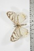  ( - BC-TB3808)  @12 [ ] Copyright (2010) Unspecified Research Collection of Thierry Bouyer