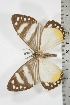  ( - BC-TB3813)  @12 [ ] Copyright (2010) Unspecified Research Collection of Thierry Bouyer