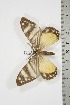  ( - BC-TB3814)  @11 [ ] Copyright (2010) Unspecified Research Collection of Thierry Bouyer