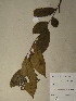  ( - GiD0206)  @11 [ ] No Rights Reserved  NRR Unspecified