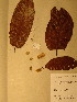  ( - GiD0208)  @11 [ ] No Rights Reserved  NRR Unspecified