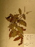  ( - GiD0219)  @11 [ ] No Rights Reserved  NRR Unspecified