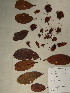  ( - GiD0200)  @11 [ ] No Rights Reserved  NRR Unspecified