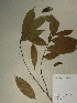  ( - GiD0287)  @11 [ ] No Rights Reserved  NRR Unspecified