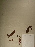 ( - GiD0271)  @11 [ ] No Rights Reserved  NRR Unspecified