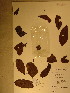  ( - GiD0364)  @11 [ ] No Rights Reserved  NRR Unspecified