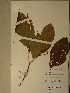  ( - GiD0362)  @11 [ ] No Rights Reserved  NRR Unspecified