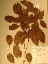  ( - GiD1459)  @11 [ ] No Rights Reserved  NRR Unspecified