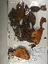  ( - GiD1540)  @11 [ ] No Rights Reserved  NRR Unspecified