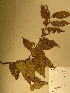  ( - GiD1431)  @11 [ ] No Rights Reserved  NRR Unspecified