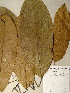  ( - GiD0990)  @11 [ ] No Rights Reserved  NRR Unspecified