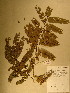  ( - GiD0911)  @11 [ ] No Rights Reserved  NRR Unspecified