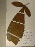  ( - GiD1073)  @11 [ ] No Rights Reserved  NRR Unspecified