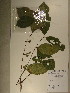  ( - GiD1343)  @11 [ ] No Rights Reserved  NRR Unspecified