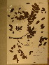  ( - GiD1375)  @11 [ ] No Rights Reserved  NRR Unspecified