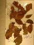 ( - GiD1405)  @11 [ ] No Rights Reserved  NRR Unspecified