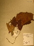  ( - GiD1435)  @11 [ ] No Rights Reserved  NRR Unspecified