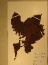  ( - GiD1328)  @11 [ ] No Rights Reserved  NRR Unspecified