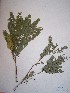  ( - MPADN0041)  @11 [ ] No Rights Reserved  Unspecified Unspecified