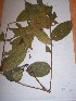  ( - MPADN0263)  @11 [ ] No Rights Reserved  Unspecified Unspecified